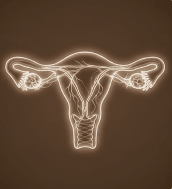 Natural Ways to Boost Your Fertility