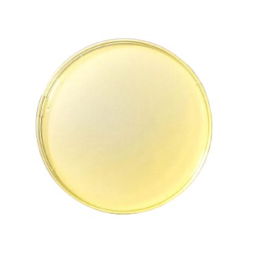 Zinc & Selenium
